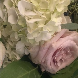 Meet your Posher, Jane